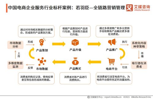 2021年中国电商领域企业服务行业深度解析 信息咨询服务的价值重塑与增长路径