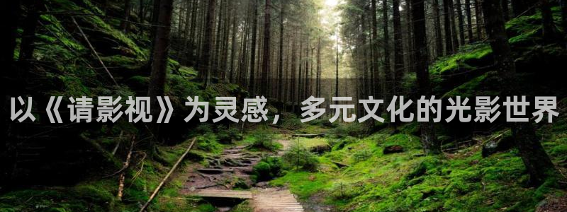 橘子果酱高清完整版在线观看：以《请影视》为灵感，多元文化的光影世界