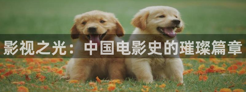 橘子视频苹果下载：影视之光：中国电影史的璀璨篇章
